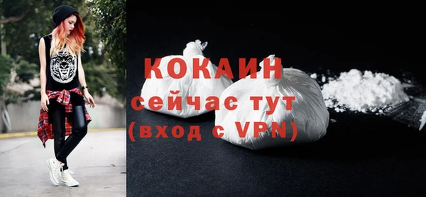 стафф Богданович