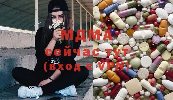 стафф Богданович