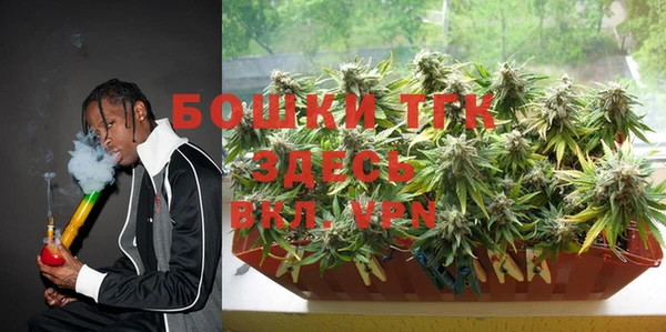 стафф Богданович