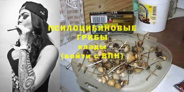 стафф Богданович