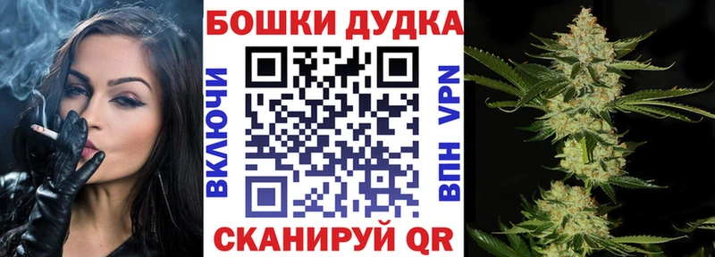 Шишки марихуана планчик  omg tor  Гусиноозёрск  купить  цена 